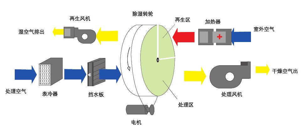 轉輪草莓视频污污污污原理