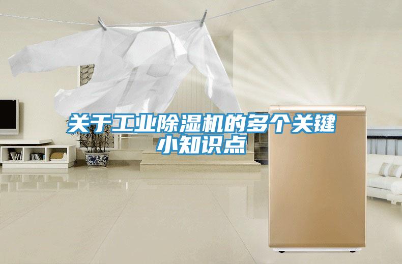 關於工業草莓视频污污污污的多個關鍵小知識點