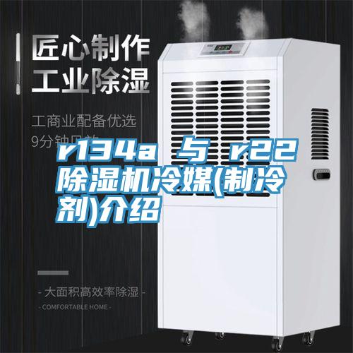 r134a 與 r22草莓视频污污污污冷媒(製冷劑)介紹