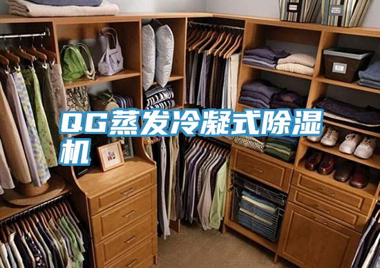 QG蒸發冷凝式草莓视频污污污污