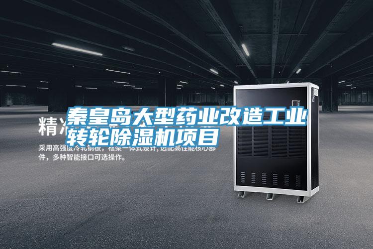 秦皇島大型藥業改造工業轉輪草莓视频污污污污項目