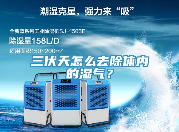 三伏天怎麽去除體內的濕氣？