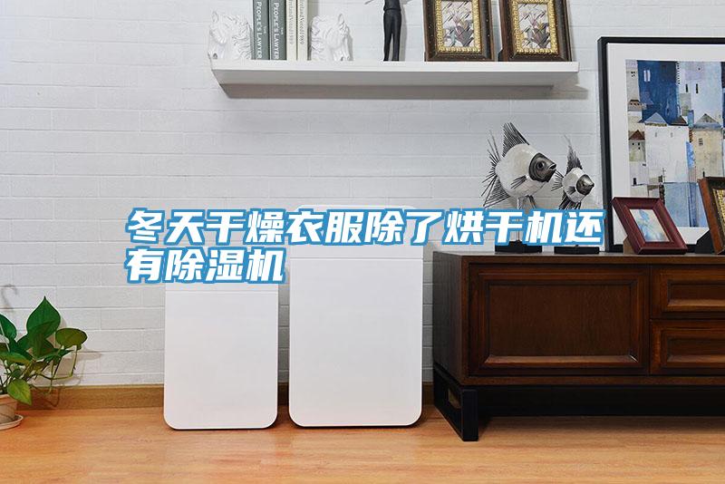 冬天幹燥衣服除了烘幹機還有草莓视频污污污污