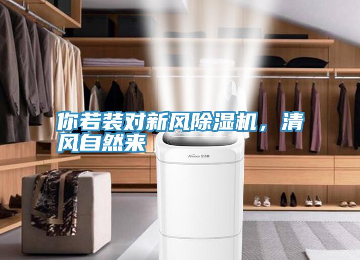 你若裝對新風草莓视频污污污污，清風自然來