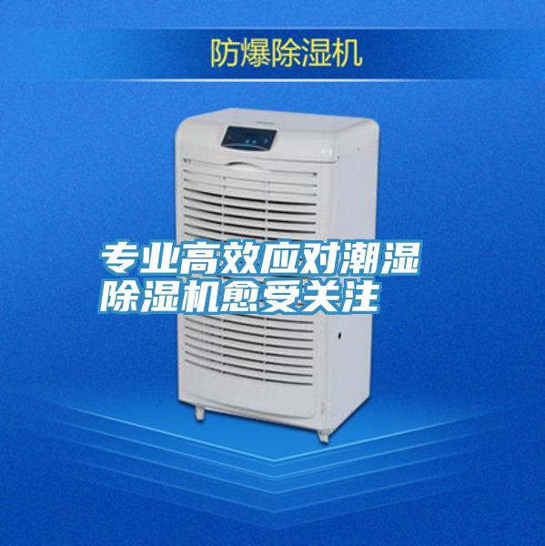 專業高效應對潮濕 草莓视频污污污污愈受關注