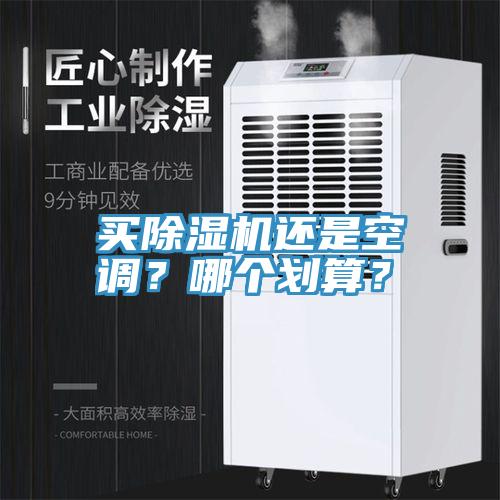 買草莓视频污污污污還是空調？哪個劃算？