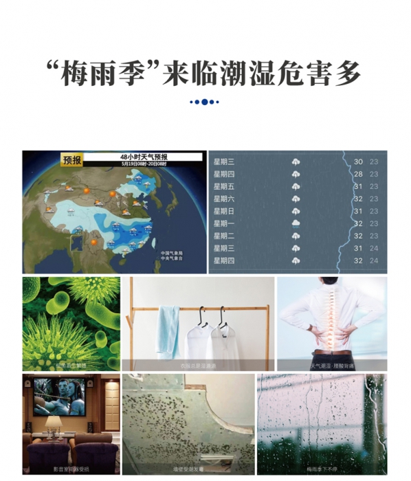 分析轉輪草莓视频污污污污