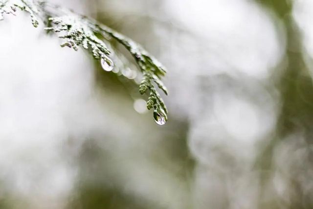 空氣濕度大帶來的危害有哪些，你知道嗎？