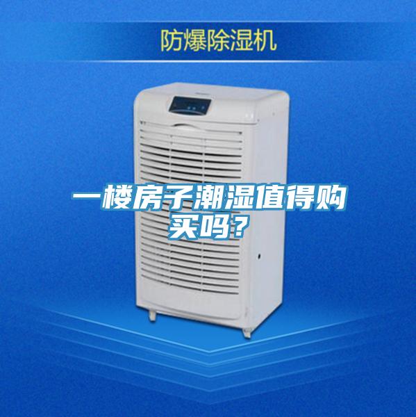 一樓房子潮濕值得購買嗎？