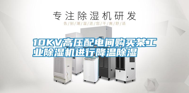 10KV高壓配電間購買某工業草莓视频污污污污進行降溫除濕