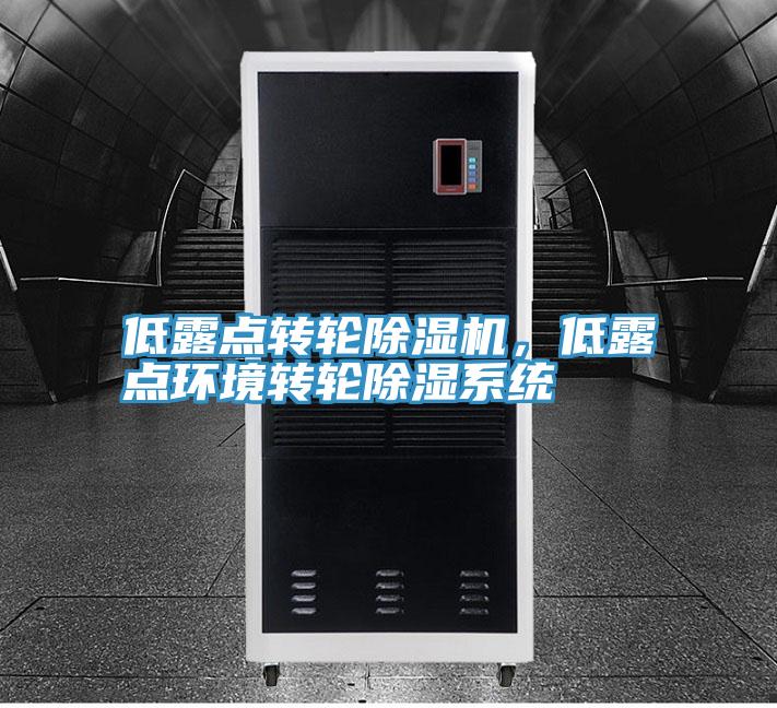 低露點轉輪草莓视频污污污污，低露點環境轉輪除濕係統