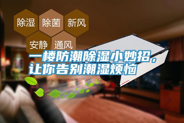 一樓防潮除濕小妙招，讓你告別潮濕煩惱