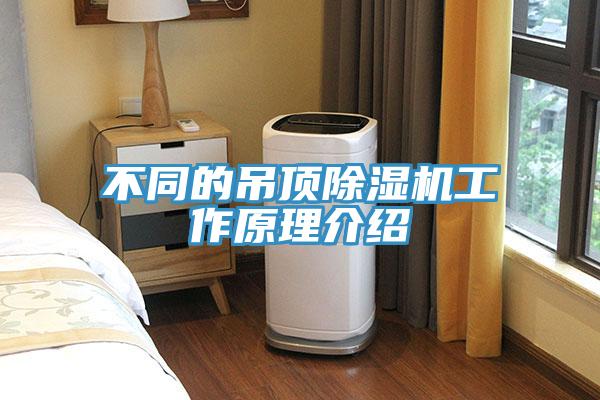不同的吊頂草莓视频污污污污工作原理介紹