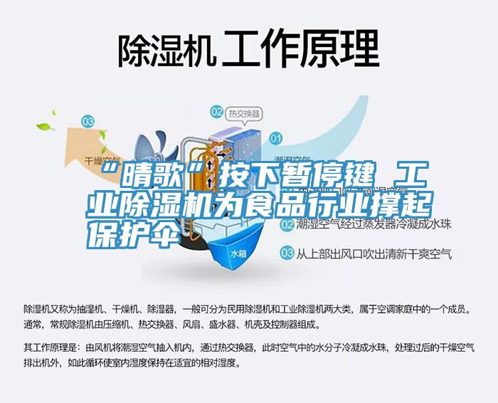 “晴歌”按下暫停鍵 工業草莓视频污污污污為食品行業撐起保護傘