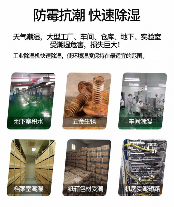 中藥材幹燥用耐高溫草莓视频污污污污