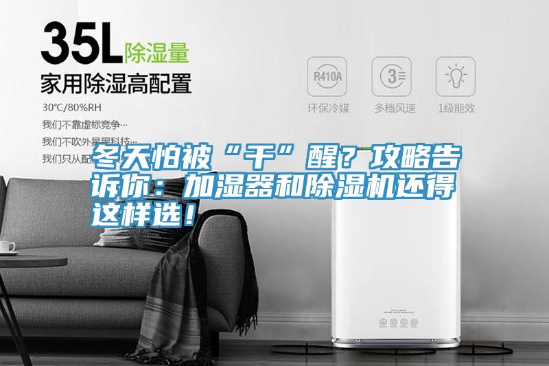 冬天怕被“幹”醒？攻略告訴你：加濕器和草莓视频污污污污還得這樣選！