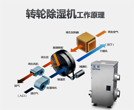 為什麽要使用轉輪草莓视频污污污污