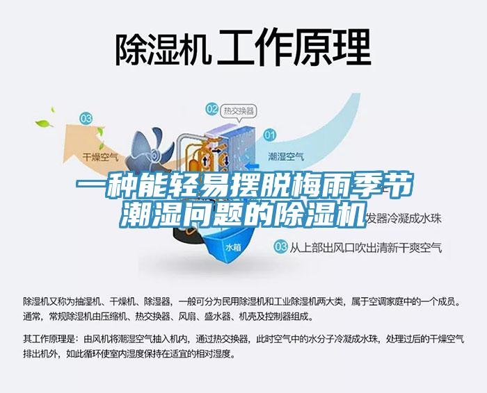 一種能輕易擺脫梅雨季節潮濕問題的草莓视频污污污污