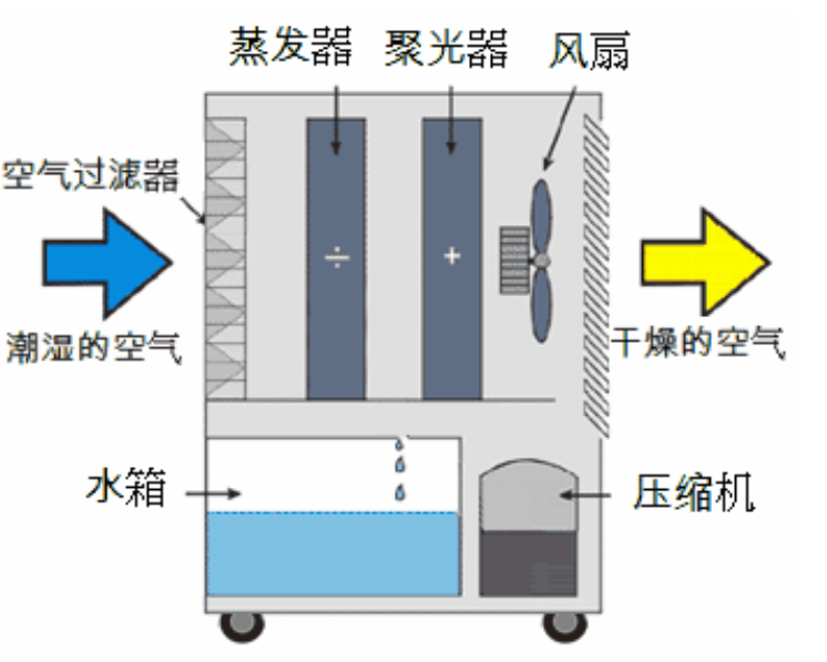 轉輪草莓视频污污污污啟動不正常的原因