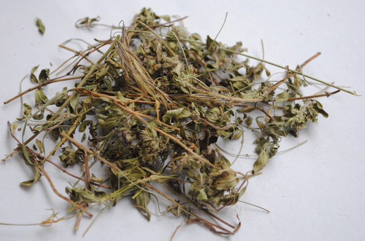草莓视频黄污下载烘幹機