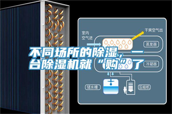 不同場所的除濕，一台草莓视频污污污污就“購”了