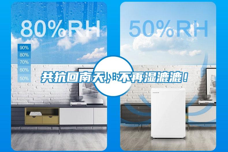 共抗回南天，不再濕漉漉！