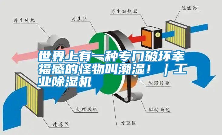 世界上有一種專門破壞幸福感的怪物叫潮濕！｜工業草莓视频污污污污