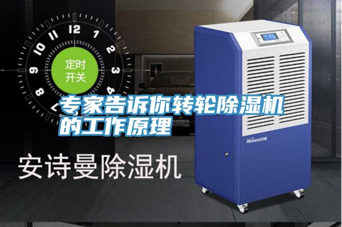 專家告訴你轉輪草莓视频污污污污的工作原理