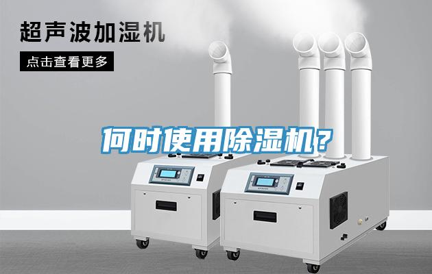 何時使用草莓视频污污污污？