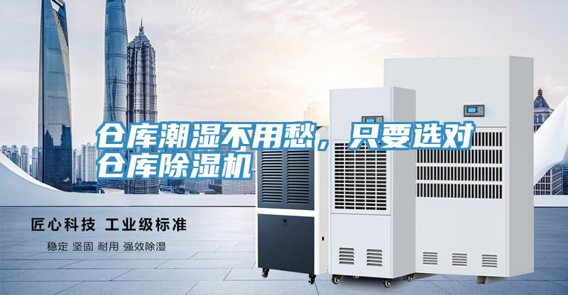 倉庫潮濕不用愁，隻要選對倉庫草莓视频污污污污
