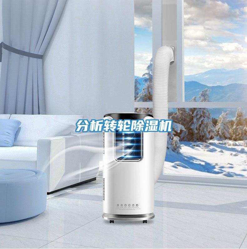 分析轉輪草莓视频污污污污