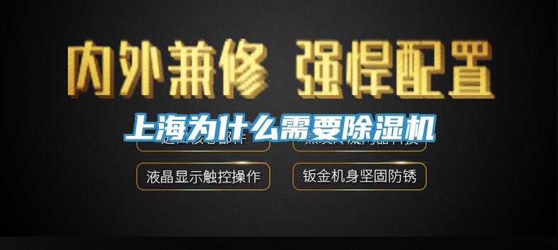 上海為什麽需要草莓视频污污污污