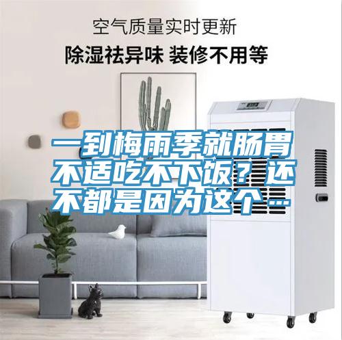 一到梅雨季就腸胃不適吃不下飯？還不都是因為這個…