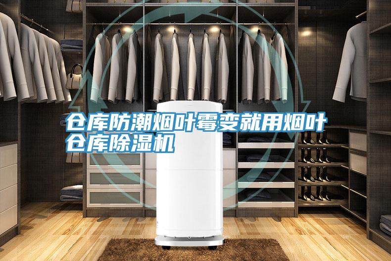 倉庫防潮煙葉黴變就用煙葉倉庫草莓视频污污污污