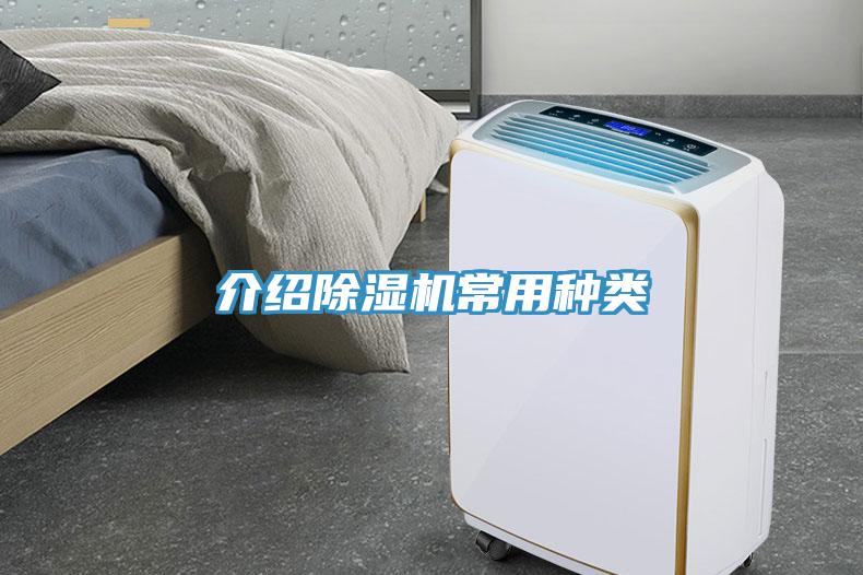 介紹草莓视频污污污污常用種類