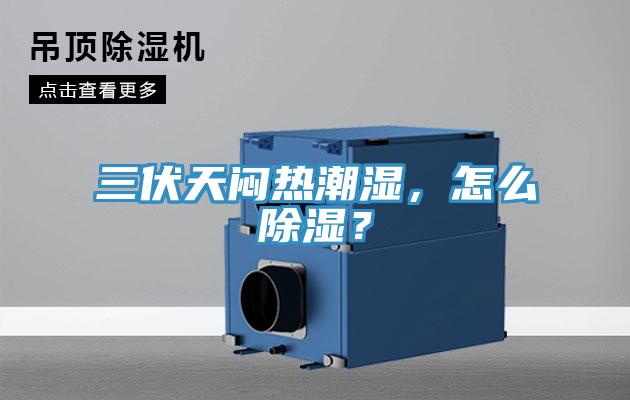 三伏天悶熱潮濕，怎麽除濕？