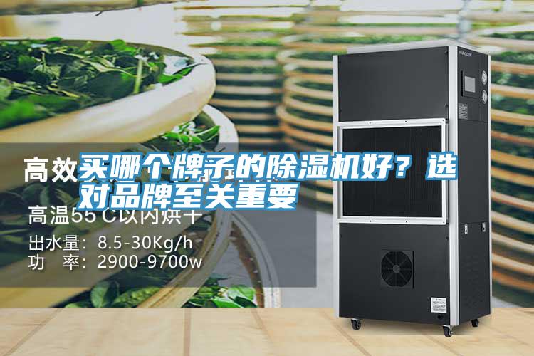 買哪個牌子的草莓视频污污污污好？選對品牌至關重要