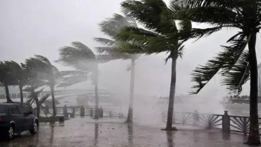 8月台風雨即將來，草莓视频污污污污還得用起來