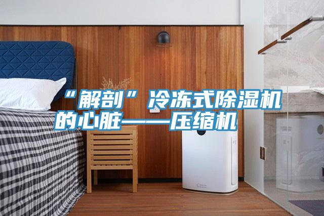 “解剖”冷凍式草莓视频污污污污的心髒——壓縮機