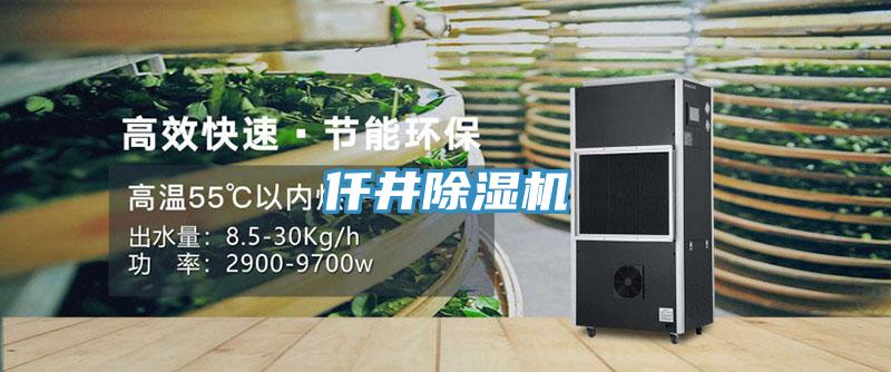 仟井草莓视频污污污污
