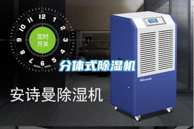 分體式草莓视频污污污污