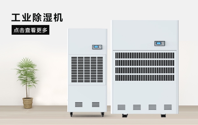 三八節送媽媽的禮物，選這款草莓视频黄污下载除濕器就對了