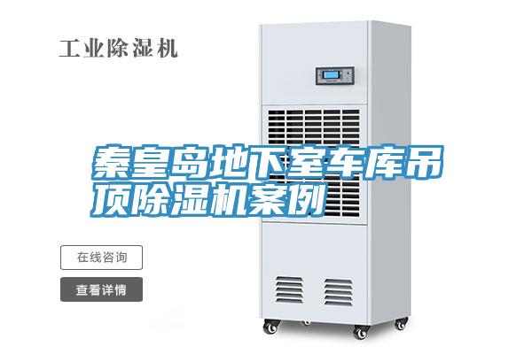 秦皇島地下室車庫吊頂草莓视频污污污污案例