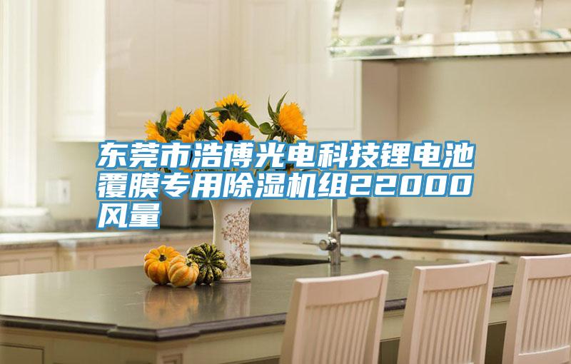 東莞市浩博光電科技鋰電池覆膜專用草莓视频污污污污組22000風量