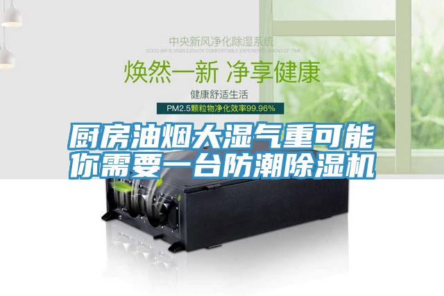 廚房油煙大濕氣重可能你需要一台防潮草莓视频污污污污