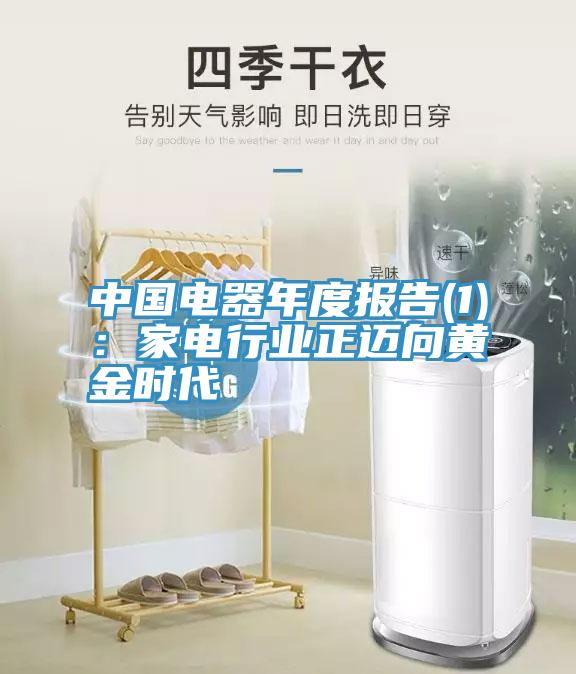 中國電器年度報告(1)：家電行業正邁向黃金時代