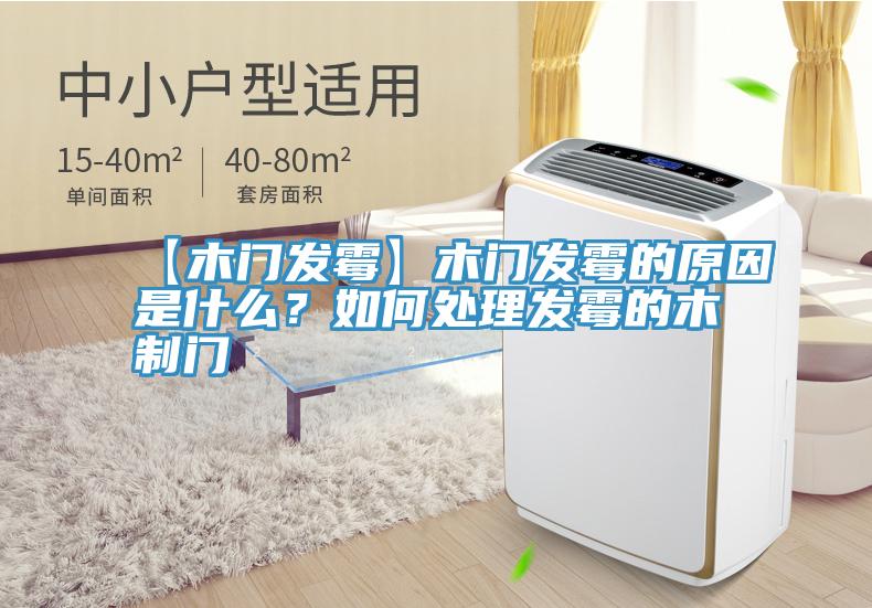 【木門發黴】木門發黴的原因是什麽？如何處理發黴的木製門