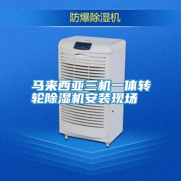 馬來西亞三機一體轉輪草莓视频污污污污安裝現場