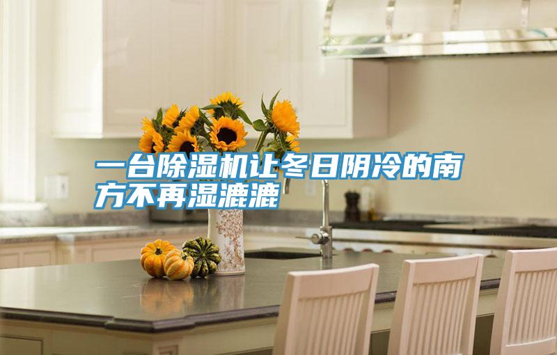 一台草莓视频污污污污讓冬日陰冷的南方不再濕漉漉