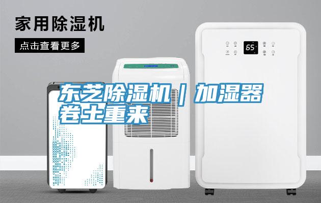 東芝草莓视频污污污污｜加濕器卷土重來
